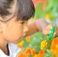 1年生・2年生必見！小学生低学年のための夏休み自由研究ヒント集